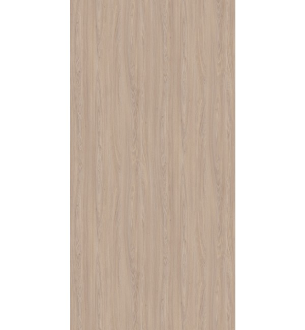 Nordic Acacia