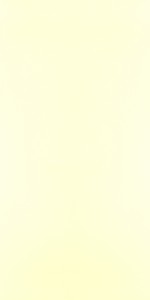 Mysore Ivory