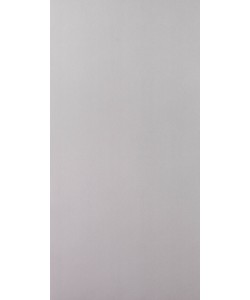 Meta Silver